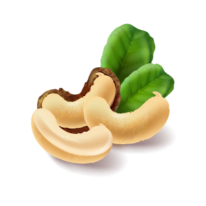 Cashew