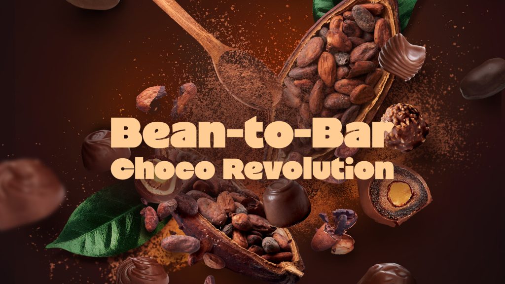 choco revolution- bean to bar -Olmec Chololate Suppliers